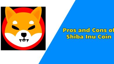 Pros and Cons of Shiba Inu Coin
