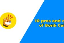 20 Pros And Cons of Bonk Coin
